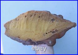 Star Trek II The Wrath of Khan Ceti Eel Creature Original Greg Jein Movie Prop