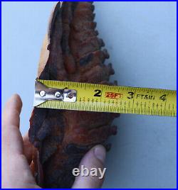 Star Trek II The Wrath of Khan Ceti Eel Creature Original Greg Jein Movie Prop